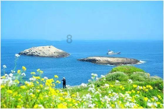 在万峰林赏最早油菜花 共赴一场温暖的“冬日雅宴”