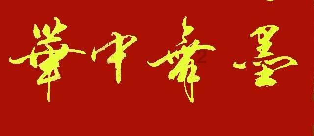 救援呆萌的猫